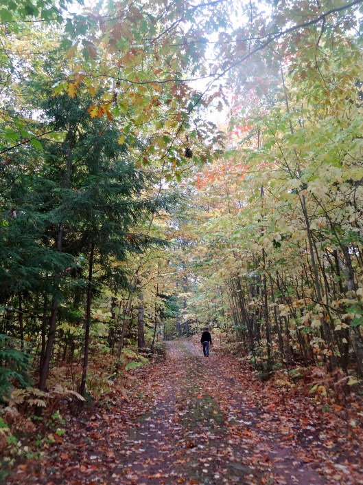 One of my favorite shots at camp.