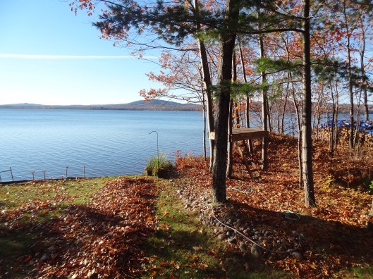 Zack built a fort for Raines and Pax to use next summer.