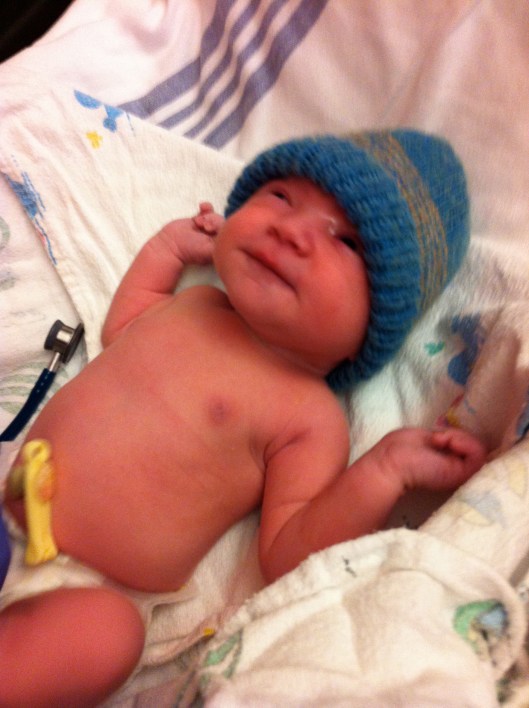 Greenlea, just minutes old.