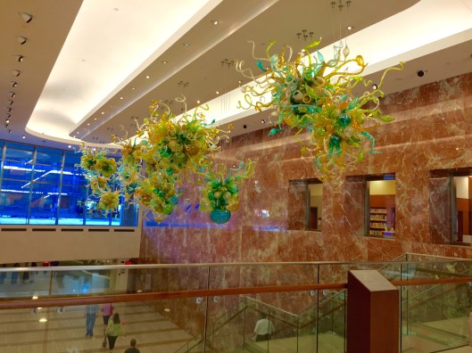 Beutiful Dale Chihuly pieces in the Gonda Building at the Mayo Clinic